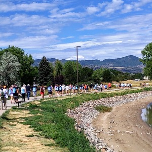 Team Page: Team Freedom!